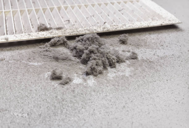 Best Professional Duct Cleaning Services  in Fremont, NC